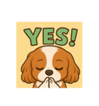 キャバリア可愛い（個別スタンプ：1）