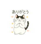 もち猫シダー君のスタンプ（個別スタンプ：1）