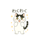 もち猫シダー君のスタンプ（個別スタンプ：2）