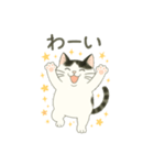 もち猫シダー君のスタンプ（個別スタンプ：3）