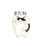 もち猫シダー君のスタンプ（個別スタンプ：4）