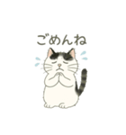 もち猫シダー君のスタンプ（個別スタンプ：5）