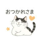 もち猫シダー君のスタンプ（個別スタンプ：6）
