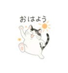 もち猫シダー君のスタンプ（個別スタンプ：8）