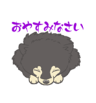 ポメラニアンのもぐおくん（個別スタンプ：5）