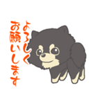 ポメラニアンのもぐおくん（個別スタンプ：6）