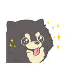 ポメラニアンのもぐおくん（個別スタンプ：8）