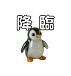 ピカてかペンギン（個別スタンプ：5）