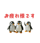 ピカてかペンギン（個別スタンプ：13）