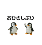 ピカてかペンギン（個別スタンプ：14）