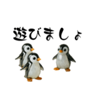 ピカてかペンギン（個別スタンプ：15）