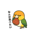 シロハラインコのちくわちゃん（個別スタンプ：2）
