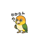 シロハラインコのちくわちゃん（個別スタンプ：4）