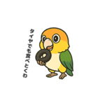 シロハラインコのちくわちゃん（個別スタンプ：5）