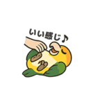 シロハラインコのちくわちゃん（個別スタンプ：8）