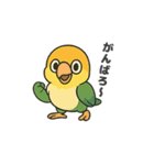 シロハラインコのちくわちゃん（個別スタンプ：9）