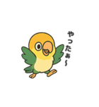シロハラインコのちくわちゃん（個別スタンプ：10）