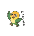 シロハラインコのちくわちゃん（個別スタンプ：13）
