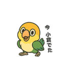 シロハラインコのちくわちゃん（個別スタンプ：14）