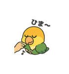 シロハラインコのちくわちゃん（個別スタンプ：16）