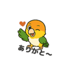シロハラインコのちくわちゃん（個別スタンプ：17）