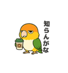 シロハラインコのちくわちゃん（個別スタンプ：18）