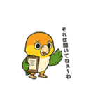 シロハラインコのちくわちゃん（個別スタンプ：20）