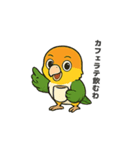 シロハラインコのちくわちゃん（個別スタンプ：21）