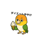 シロハラインコのちくわちゃん（個別スタンプ：23）