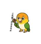 シロハラインコのちくわちゃん（個別スタンプ：29）