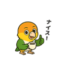 シロハラインコのちくわちゃん（個別スタンプ：30）