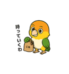 シロハラインコのちくわちゃん（個別スタンプ：31）