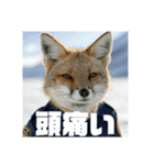 AnimalSecurity（個別スタンプ：4）