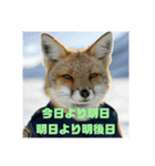 AnimalSecurity（個別スタンプ：16）