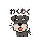 ごきげんシュナのスタンプセット（個別スタンプ：6）