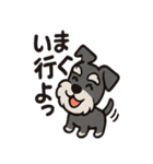 ごきげんシュナのスタンプセット（個別スタンプ：11）