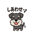 ごきげんシュナのスタンプセット（個別スタンプ：13）