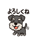 ごきげんシュナのスタンプセット（個別スタンプ：14）