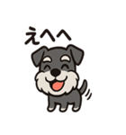 ごきげんシュナのスタンプセット（個別スタンプ：16）