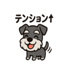ごきげんシュナのスタンプセット（個別スタンプ：17）