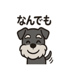 ごきげんシュナのスタンプセット（個別スタンプ：19）