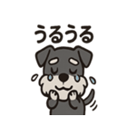 ごきげんシュナのスタンプセット（個別スタンプ：23）