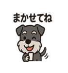 ごきげんシュナのスタンプセット（個別スタンプ：28）