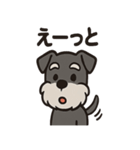 ごきげんシュナのスタンプセット（個別スタンプ：35）