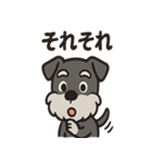 ごきげんシュナのスタンプセット（個別スタンプ：40）
