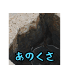 福岡・博多弁スペシャル（個別スタンプ：2）