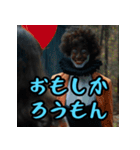 福岡・博多弁スペシャル（個別スタンプ：12）