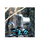 福岡・博多弁スペシャル（個別スタンプ：20）