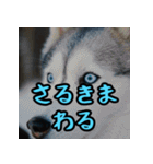 福岡・博多弁スペシャル（個別スタンプ：26）