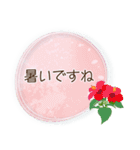 夏咲く花のフレーム挨拶スタンプ（個別スタンプ：4）